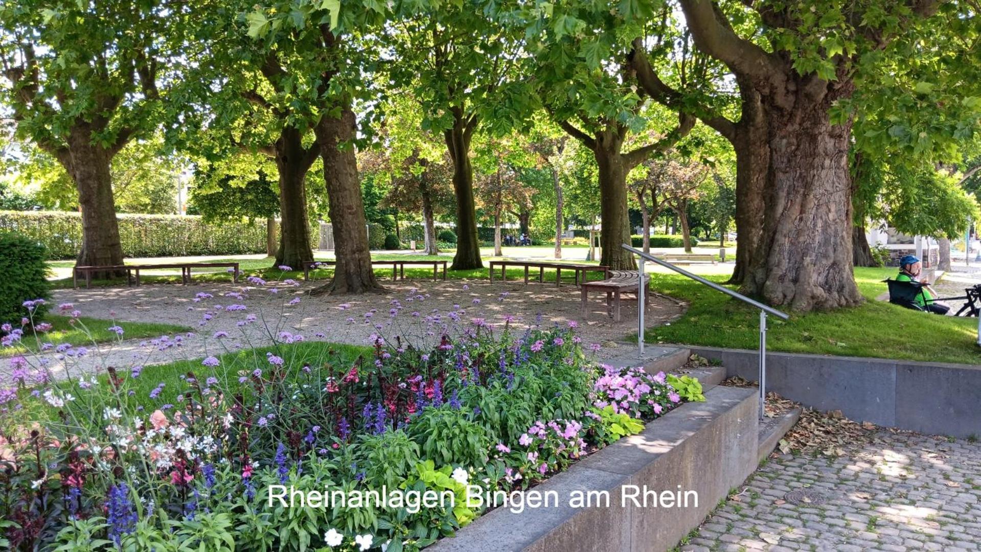 Apartment Ferienwohnung Aspisheim